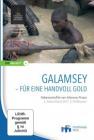 Galamsey – Für eine Handvoll Gold